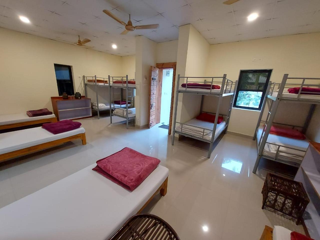 Tadoba Tiger Valley Resort Tadoba Mohurli Luaran gambar